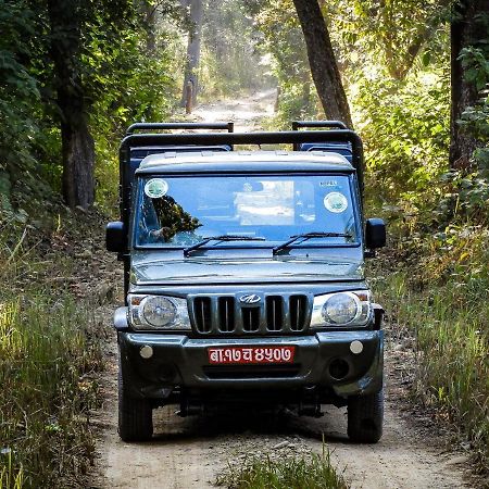 Bardia Wildlife Resort Bardiya Bagian luar foto