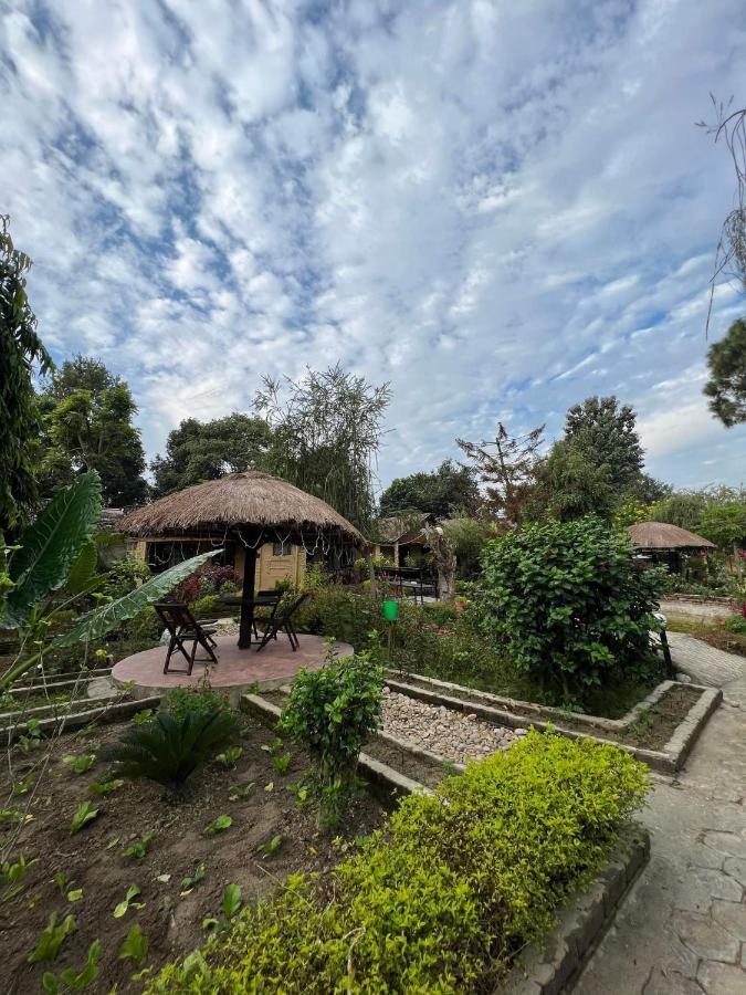 Bardia Wildlife Resort Bardiya Bagian luar foto