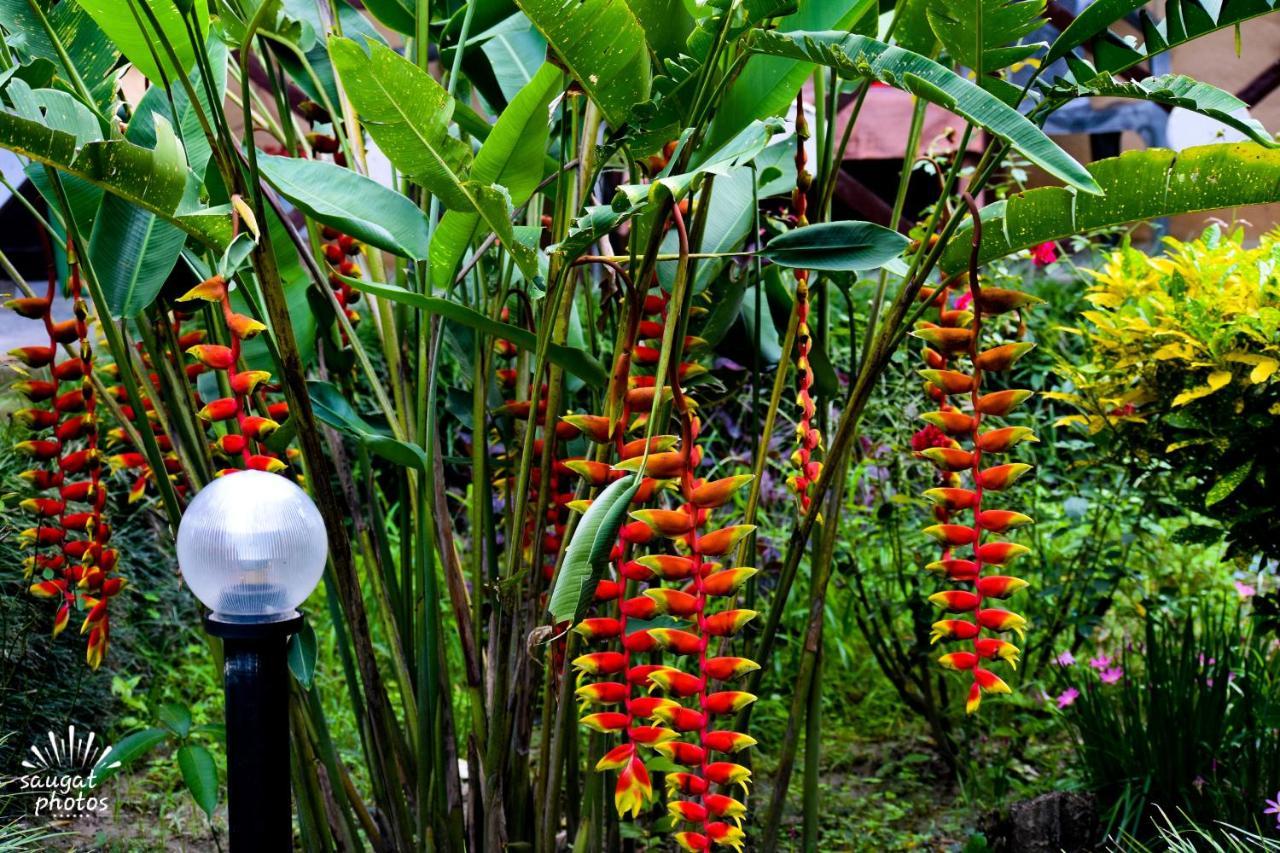 Bardia Wildlife Resort Bardiya Bagian luar foto