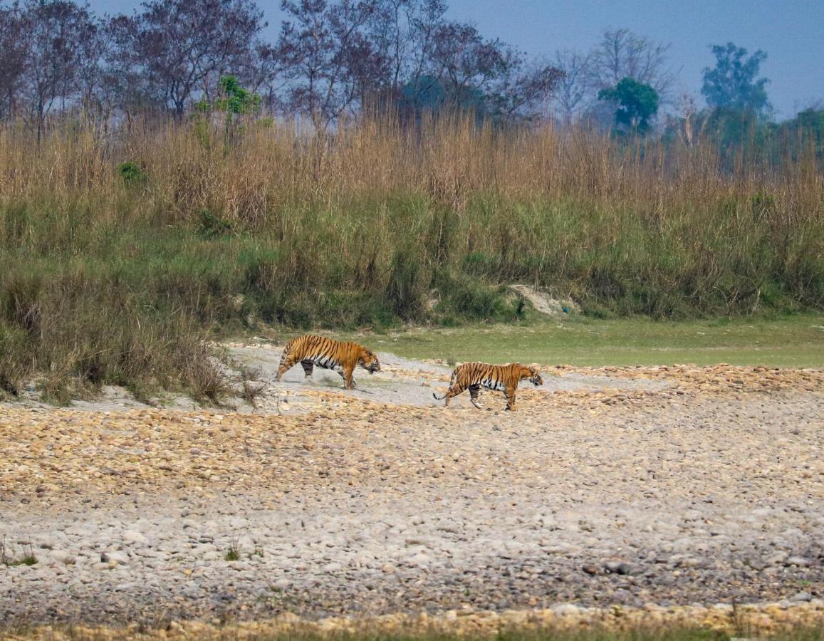 Bardia Wildlife Resort Bardiya Bagian luar foto