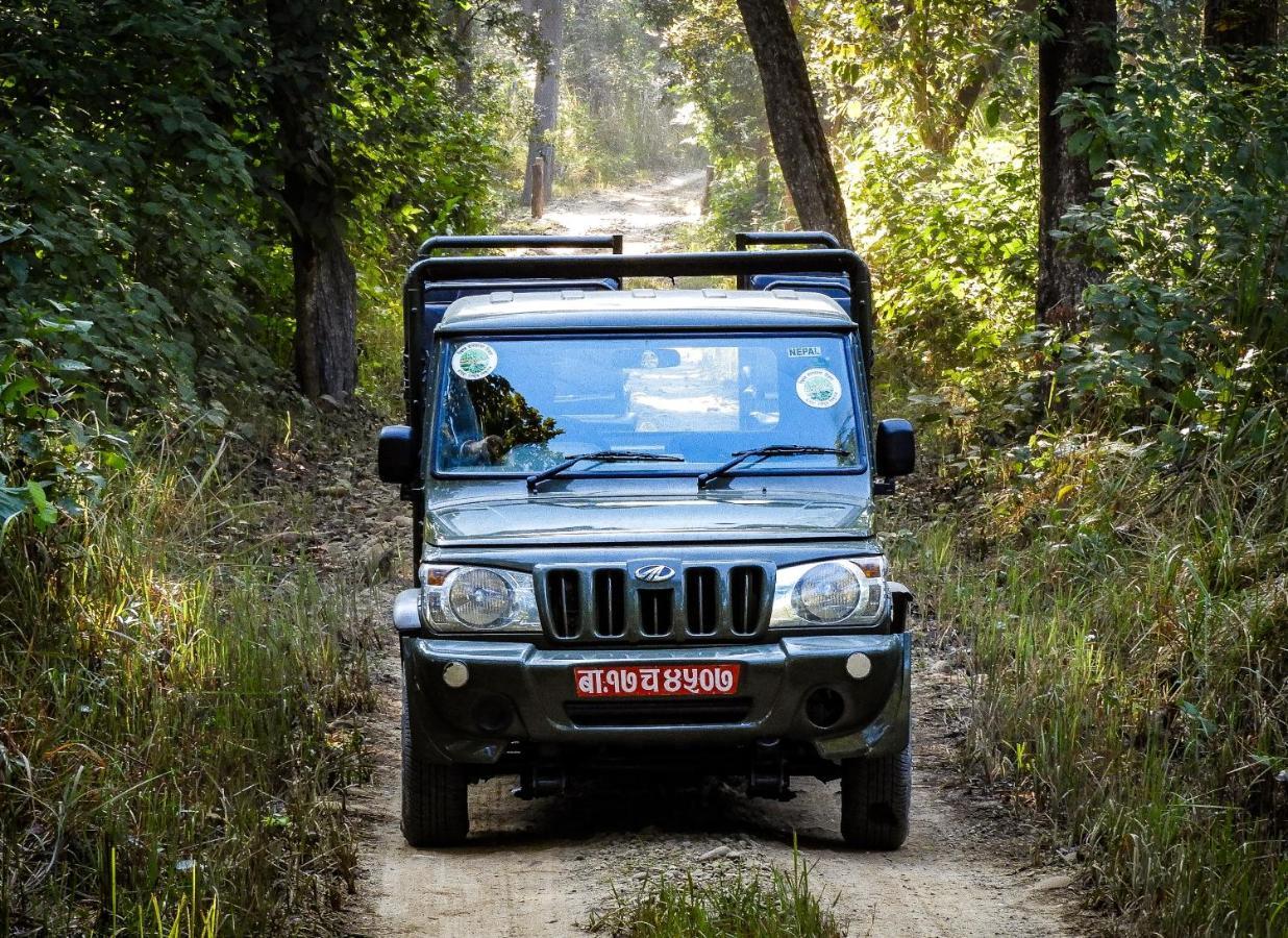 Bardia Wildlife Resort Bardiya Bagian luar foto