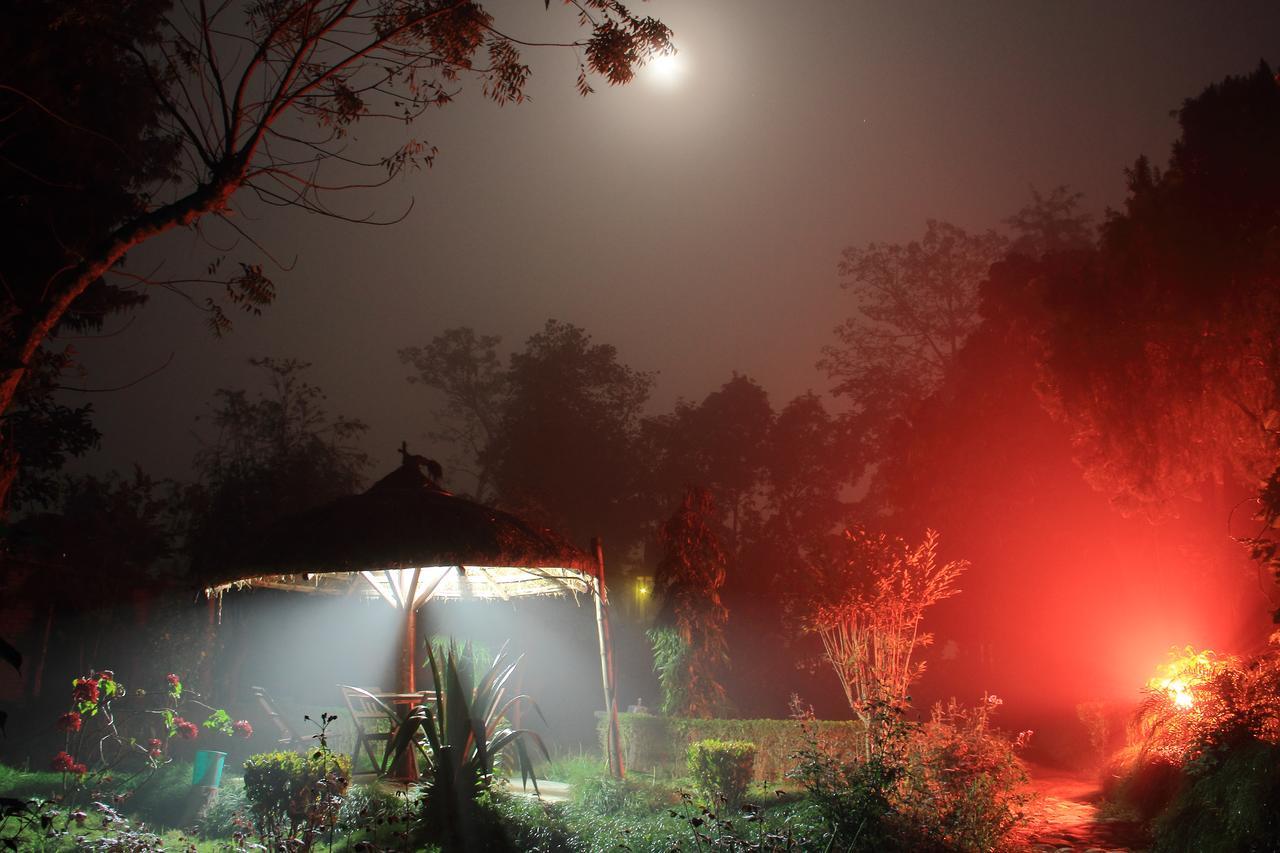 Bardia Wildlife Resort Bardiya Bagian luar foto