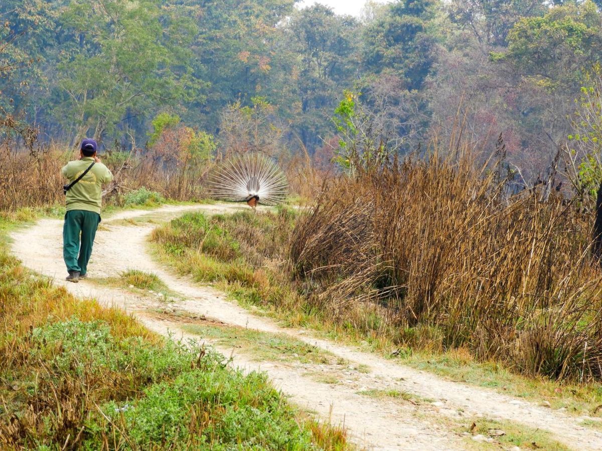 Bardia Wildlife Resort Bardiya Bagian luar foto