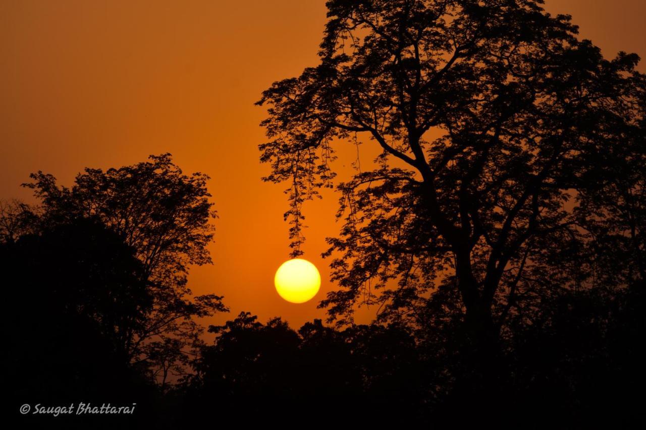 Bardia Wildlife Resort Bardiya Bagian luar foto